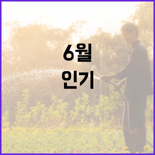 6월 세종시 인기 콘텐츠 TOP3 공개