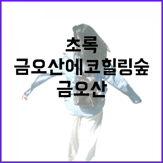 초록 터널과 소나무 숲, 금오산 에코힐링숲 힐링 여행