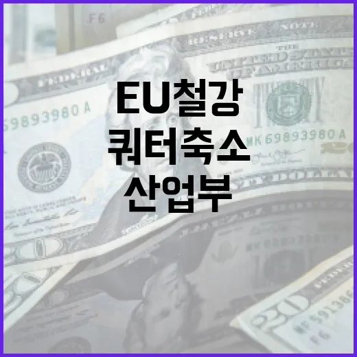 EU 철강 쿼터 축소에 맞선 산업부의 전방위 지원
