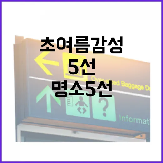 광주 초여름 감성 명소 5선