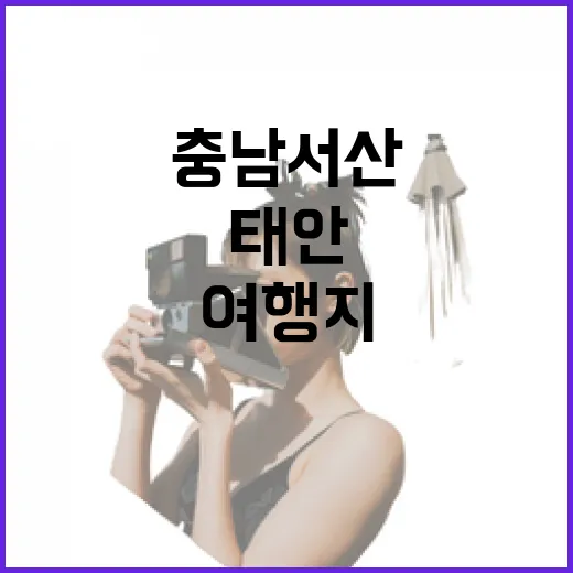 충남 서산·태안 숨은 바다 여행지 탐방