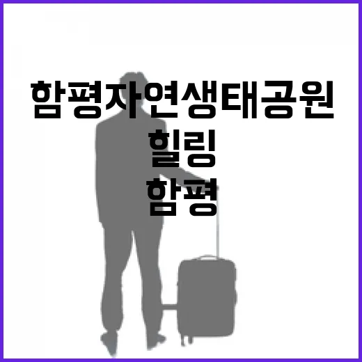 함평자연생태공원, 사계절 푸른 힐링 명소
