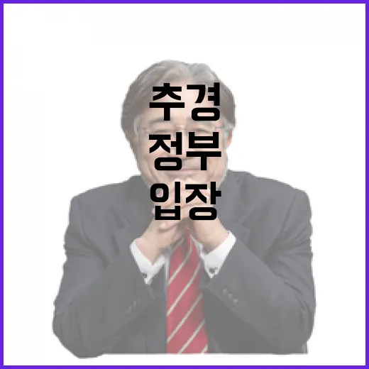추경예산 검토 없었다는 정부 입장