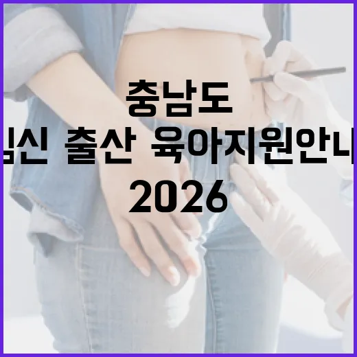 충남도, 2026 임신·출산·육아 지원 안내서 발간