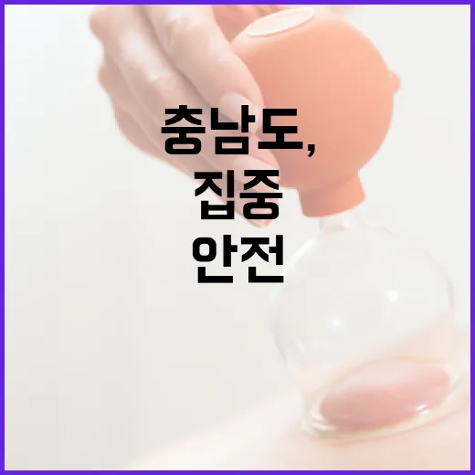 충남도, 여름철 먹거리 안전 집중 점검
