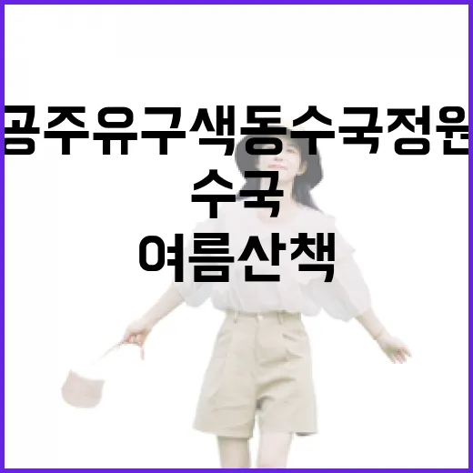 공주 유구 색동수국정원, 여름 산책 명소로 각광