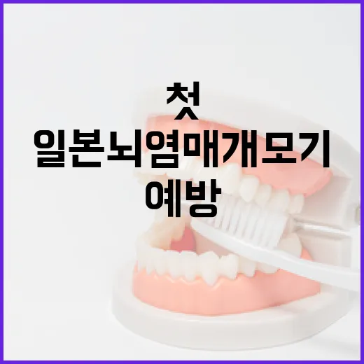 경북서 일본뇌염 매개 모기 첫 확인, 예방 당부