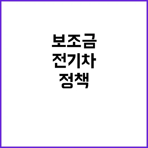 정부, 전기차 보조금 정책 강화로 건전 생태계 조성
