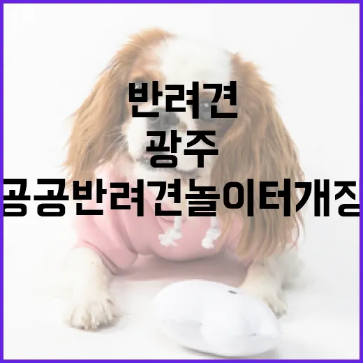 광주 첫 공공 반려견 놀이터 개장
