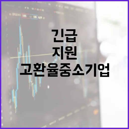 고환율 중소기업에 14조 긴급 금융지원