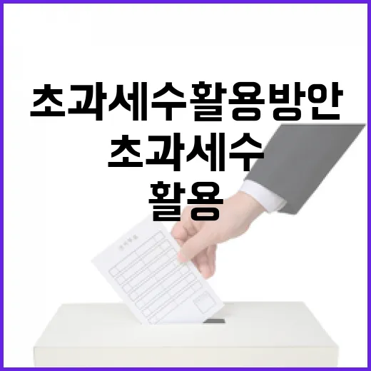 초과세수 활용 방안 아직 미정