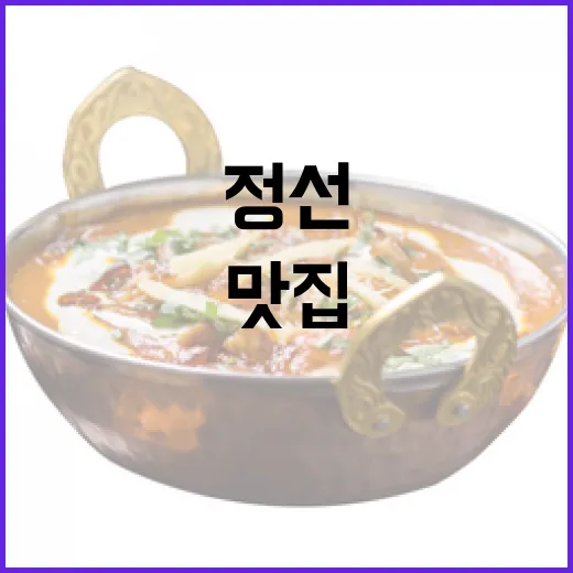 정선 향토 맛집 총집합