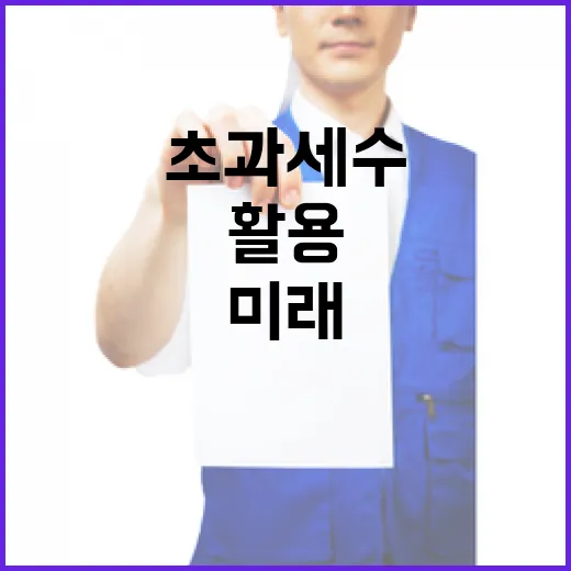 미래대응기금 신설 등 초과세수 활용 계획은 미정