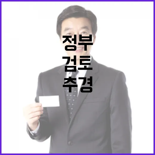 추경 검토 사실무근, 정부 입장 명확히