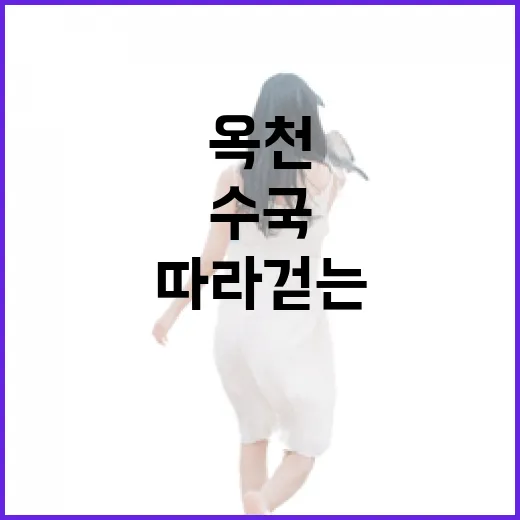 대청호 수국길 따라 걷는 옥천 여름 산책