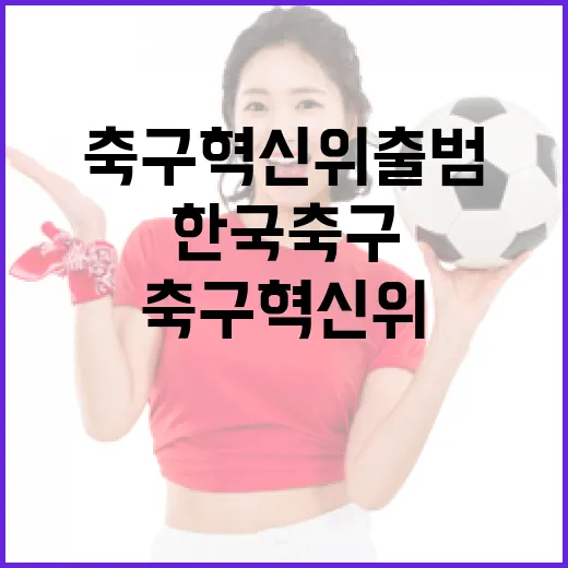 한국축구 미래 설계하는 케이-축구 혁신위 출범