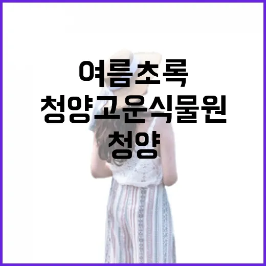 청양 고운식물원, 여름 초록의 진수