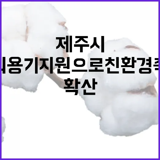 제주시 다회용기 지원으로 친환경 축제 확산