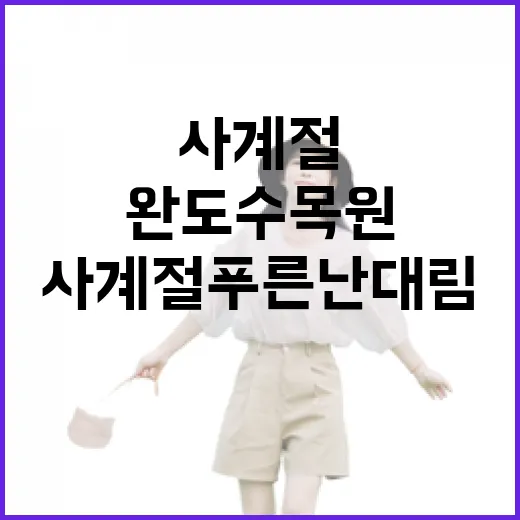 완도수목원, 사계절 푸른 난대림의 숨결