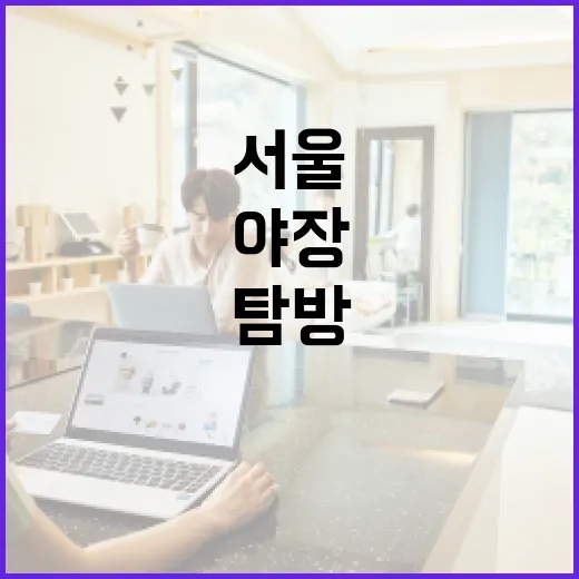 서울 여름밤, 야장 명소 집중 탐방