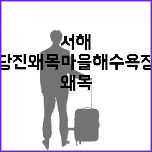 서해의 보석, 당진 왜목마을 해수욕장