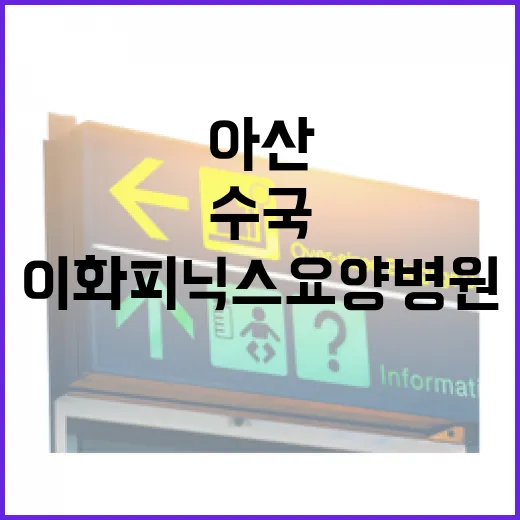 아산 이화피닉스요양병원 수국 정원 만개