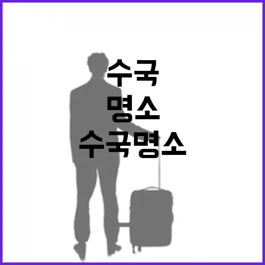 부산 수국 명소 3곳 집중 탐방