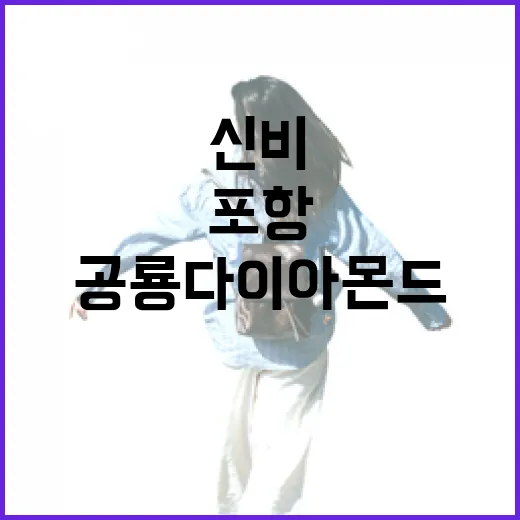 포항 이가리 마을과 공룡 다이아몬드의 신비
