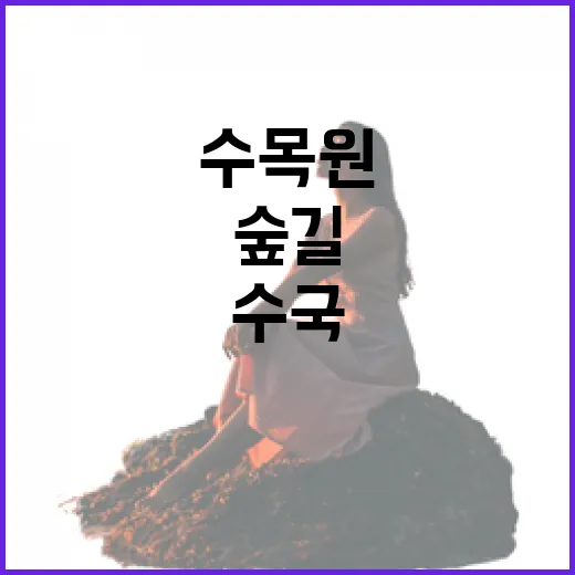 안면도수목원, 초여름 수국과 숲길의 힐링 명소