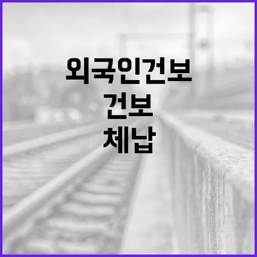 외국인 건보 체납 증가, 정부의 합리적 대응