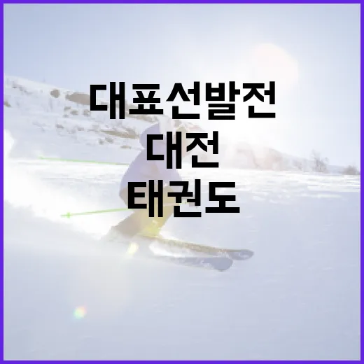 대전 태권도 대표 선발전 현장