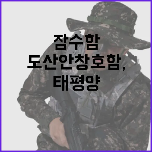 도산안창호함, 태평양 건너 K-잠수함 원해작전 새 시대