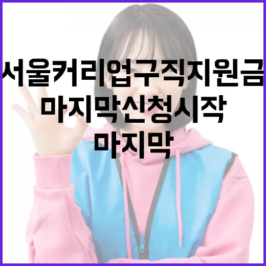 서울커리업 구직지원금 2026년 마지막 신청 시작