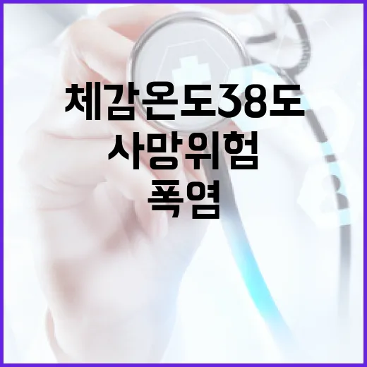 체감온도 38도 이상 시 사망 위험 급증, 폭염 대비 필수