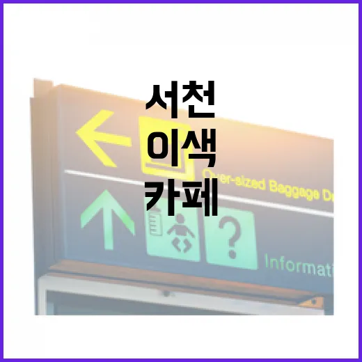 서천에서 만나는 특별한 이색 카페 5선