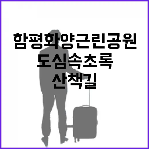 함평 화양근린공원, 도심 속 초록 힐링 산책길