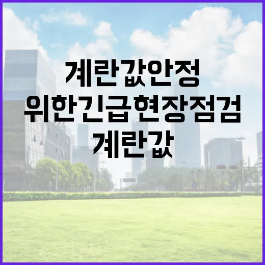 계란값 안정 위한 긴급 현장 점검