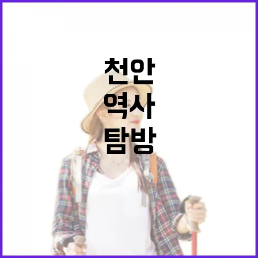 천안 봉선홍경사 갈기비, 고려 역사 품은 국보 탐방