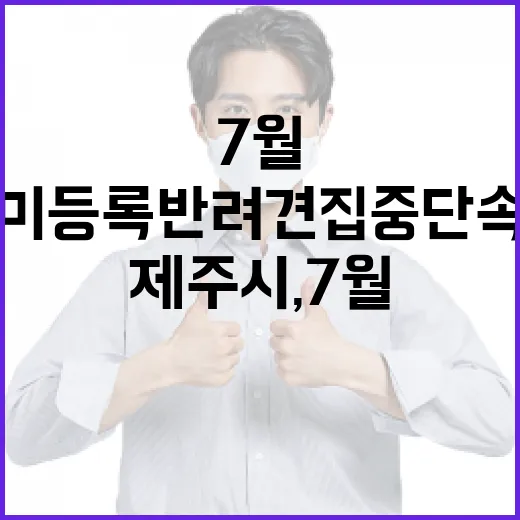제주시, 7월 미등록 반려견 집중 단속
