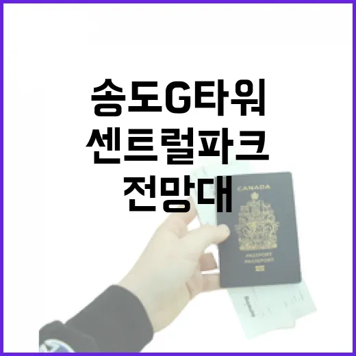 송도 G타워 전망대에서 만나는 센트럴파크 야경