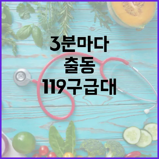 3분마다 출동하는 충남 119구급대의 헌신