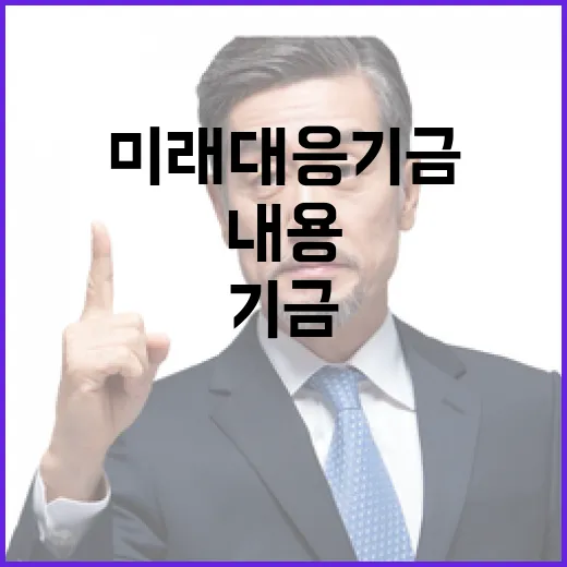 미래대응기금 세부내용 아직 미확정