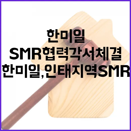 한미일, 인태지역 SMR 협력각서 체결