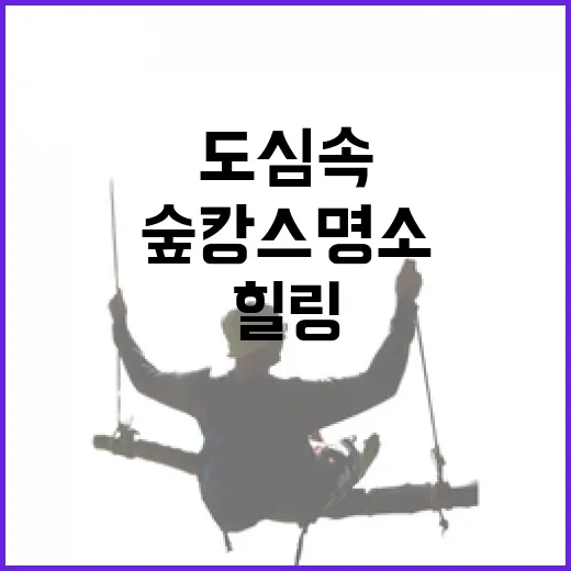 폭염 속 도심 속 힐링 숲캉스 명소