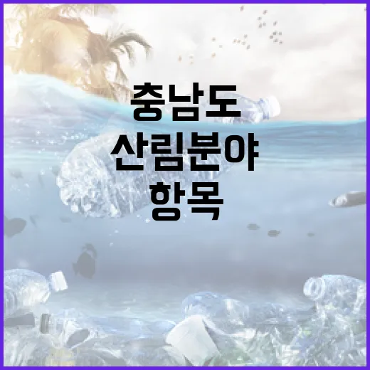 충남도 산림분야 전 항목 최고점 달성