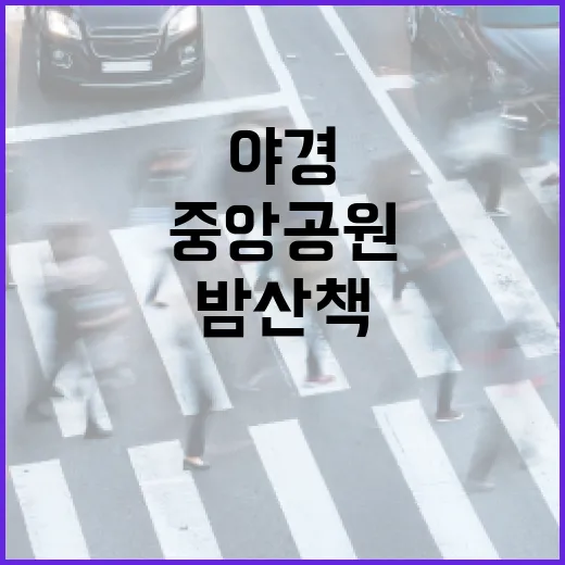 분당중앙공원 야경과 밤 산책의 매력
