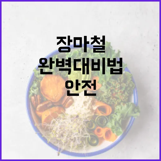 올여름 장마철 안전 완벽 대비법