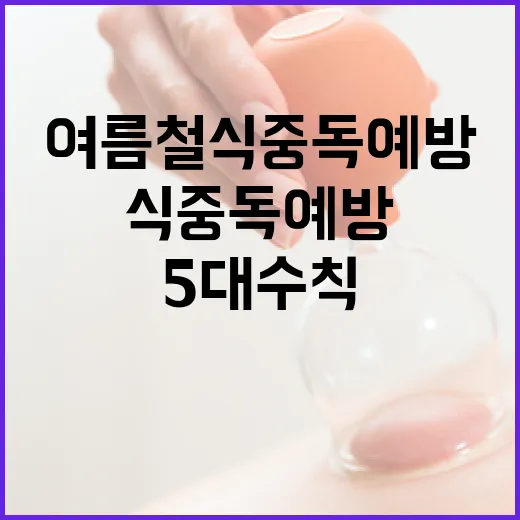 여름철 식중독 예방, 5대 수칙 철저히 지키자