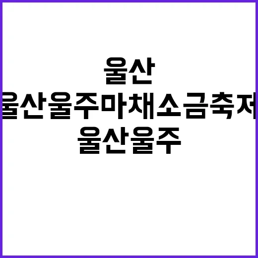 울산 울주 마채소금축제, 소금의 역사와 공동체의 만남