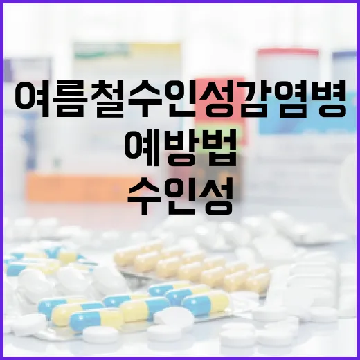 여름철 수인성 감염병 철저 예방법